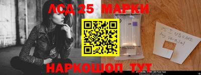 индика Чебаркуль