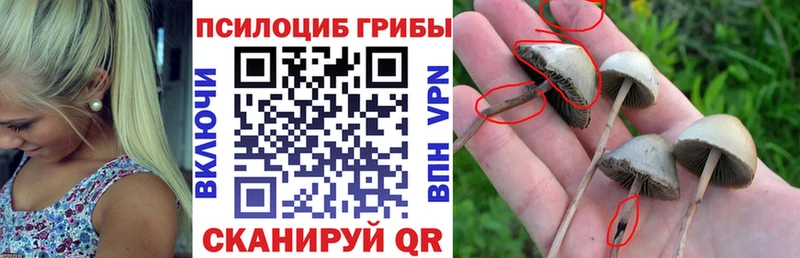 Галлюциногенные грибы ЛСД  OMG зеркало  Пермь  где купить  