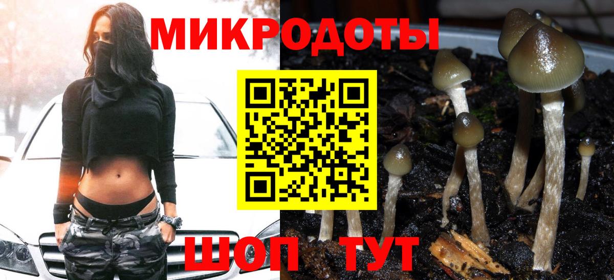 Россия  Псилоцибиновые грибы мицелий  Вход с VPN 